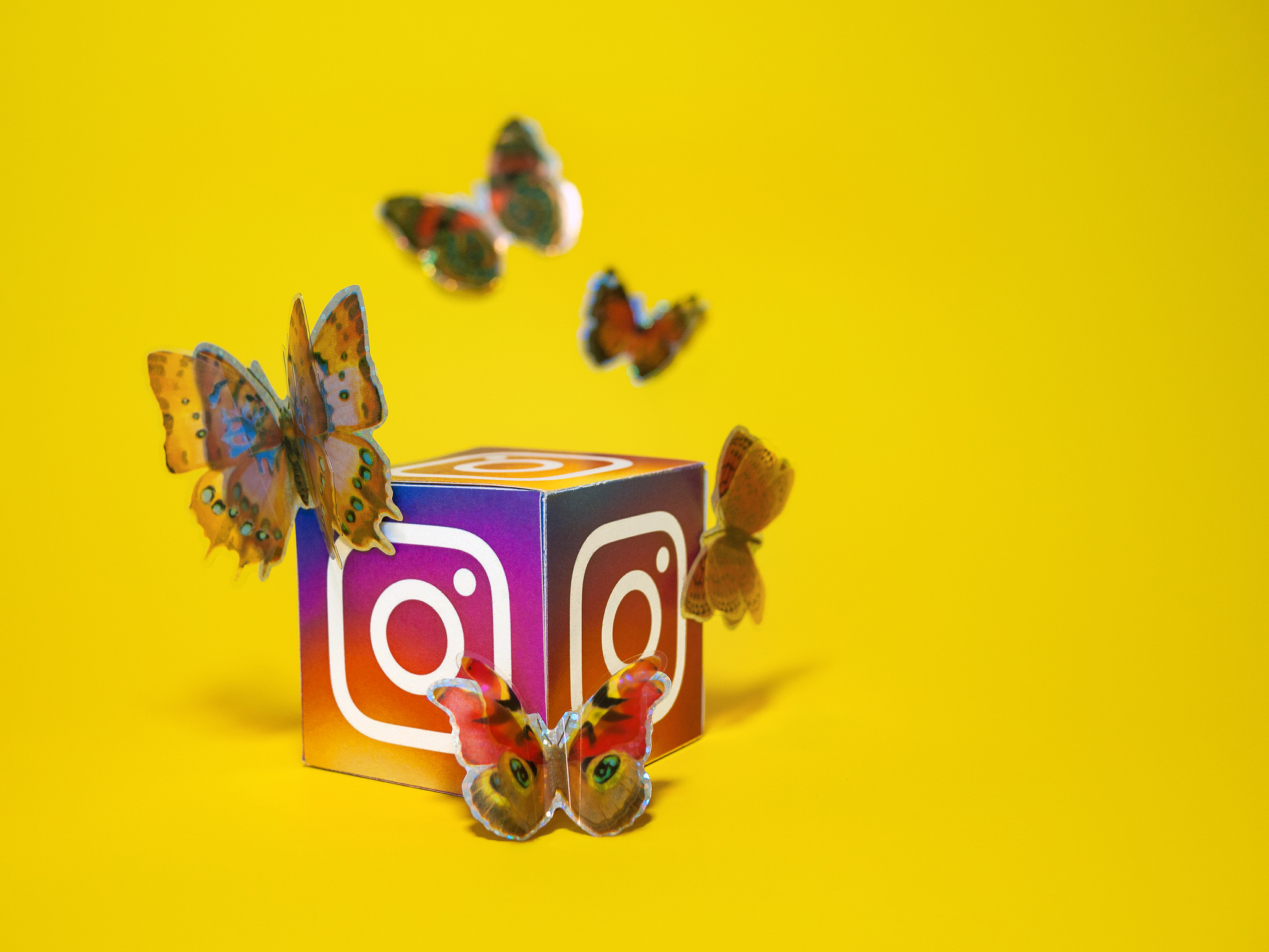 Social Media Butterfly - Instagram
