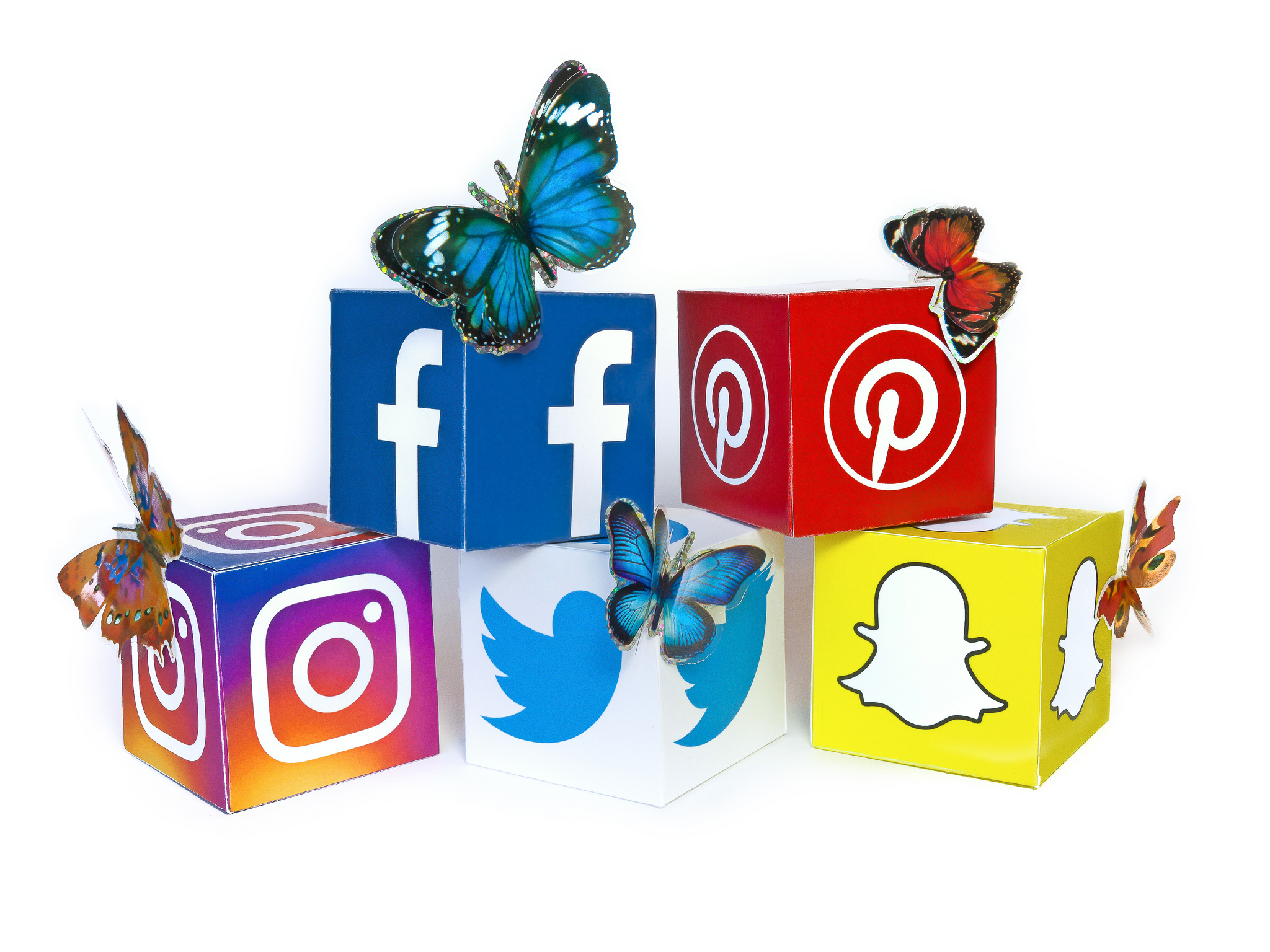 Social Media Butterflies
