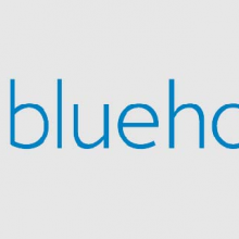 bluehost review