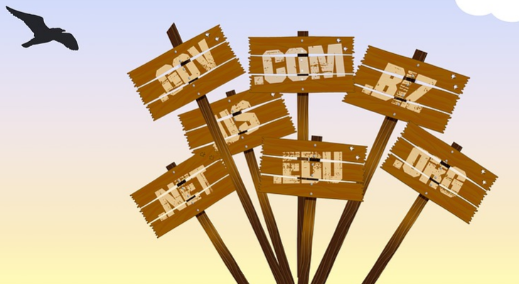 how much does a domain name cost
